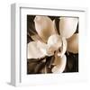 Magnolia Close Up I-Christine Zalewski-Framed Art Print