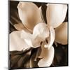 Magnolia Close Up I-Christine Zalewski-Mounted Art Print