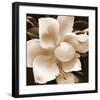 Magnolia Close Up II-Christine Zalewski-Framed Premium Giclee Print