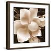 Magnolia Close Up II-Christine Zalewski-Framed Premium Giclee Print