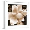 Magnolia Close Up II-Christine Zalewski-Framed Premium Giclee Print