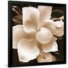 Magnolia Close Up II-Christine Zalewski-Framed Art Print