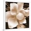 Magnolia Close Up II-Christine Zalewski-Framed Art Print