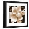 Magnolia Close Up II-Christine Zalewski-Framed Art Print