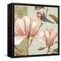 Magnolia Collage I-Pamela Gladding-Framed Stretched Canvas