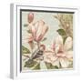 Magnolia Collage II-Pamela Gladding-Framed Art Print