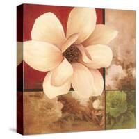 Magnolia Collage-TC Chiu-Stretched Canvas