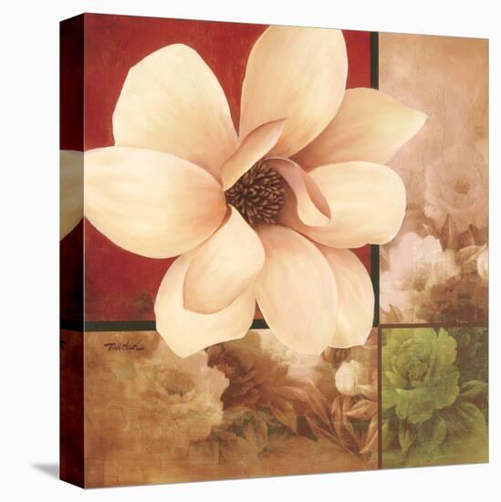 Magnolia Collage-TC Chiu-Stretched Canvas