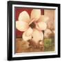 Magnolia Collage-TC Chiu-Framed Art Print