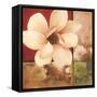 Magnolia Collage-TC Chiu-Framed Stretched Canvas