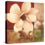 Magnolia Collage-TC Chiu-Stretched Canvas