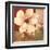 Magnolia Collage-TC Chiu-Framed Art Print