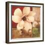 Magnolia Collage-TC Chiu-Framed Art Print