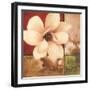 Magnolia Collage-TC Chiu-Framed Art Print