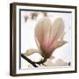 Magnolia Dawn-Pete Kelly-Framed Giclee Print