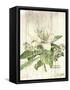 Magnolia de Printemps v2-Sue Schlabach-Framed Stretched Canvas