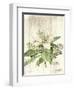 Magnolia de Printemps v2-Sue Schlabach-Framed Art Print