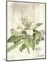 Magnolia de Printemps v2-Sue Schlabach-Mounted Art Print