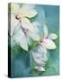 Magnolia Dedudata-Karen Armitage-Stretched Canvas