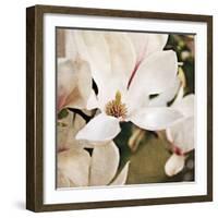 Magnolia Dusk-Pete Kelly-Framed Giclee Print