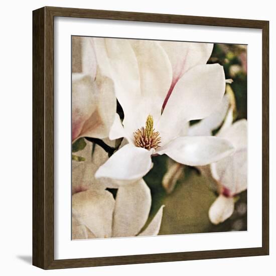 Magnolia Dusk-Pete Kelly-Framed Giclee Print