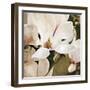 Magnolia Dusk-Pete Kelly-Framed Giclee Print