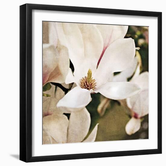 Magnolia Dusk-Pete Kelly-Framed Giclee Print