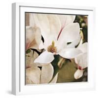 Magnolia Dusk-Pete Kelly-Framed Giclee Print