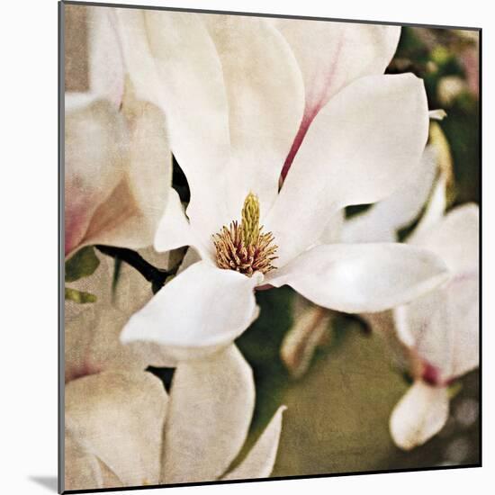 Magnolia Dusk-Pete Kelly-Mounted Giclee Print