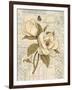 Magnolia Etching-Chad Barrett-Framed Art Print