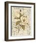 Magnolia Etching-Chad Barrett-Framed Art Print