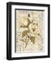 Magnolia Etching-Chad Barrett-Framed Art Print