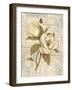 Magnolia Etching-Chad Barrett-Framed Art Print