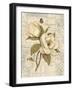 Magnolia Etching-Chad Barrett-Framed Art Print