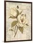 Magnolia Etching-Chad Barrett-Framed Art Print