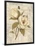 Magnolia Etching-Chad Barrett-Framed Art Print