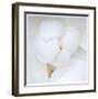 Magnolia Flower Abstract No 236-Shams Rasheed-Framed Giclee Print