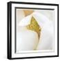 Magnolia Flower Abstract No 237-Shams Rasheed-Framed Giclee Print