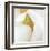 Magnolia Flower Abstract No 237-Shams Rasheed-Framed Giclee Print