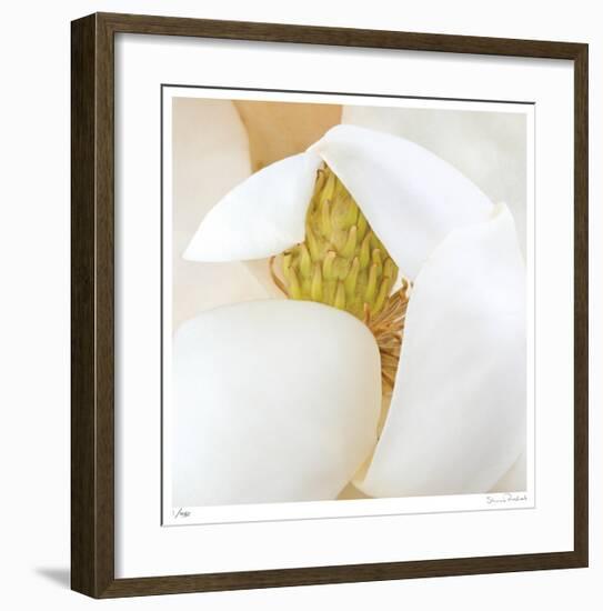 Magnolia Flower Abstract No 237-Shams Rasheed-Framed Giclee Print