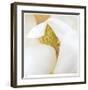 Magnolia Flower Abstract No 237-Shams Rasheed-Framed Giclee Print