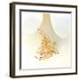 Magnolia Flower Abstract No 238-Shams Rasheed-Framed Giclee Print