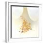 Magnolia Flower Abstract No 238-Shams Rasheed-Framed Giclee Print