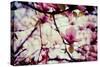 Magnolia Flowers-Roxana_ro-Stretched Canvas