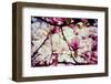 Magnolia Flowers-Roxana_ro-Framed Photographic Print