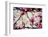 Magnolia Flowers-Roxana_ro-Framed Photographic Print