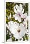 Gramercy White