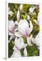 Gramercy White