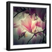 Magnolia Forever-Philippe Sainte-Laudy-Framed Photographic Print