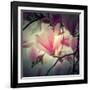 Magnolia Forever-Philippe Sainte-Laudy-Framed Photographic Print